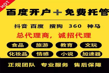 竞价SEM托管案例：实现营销效果最大化